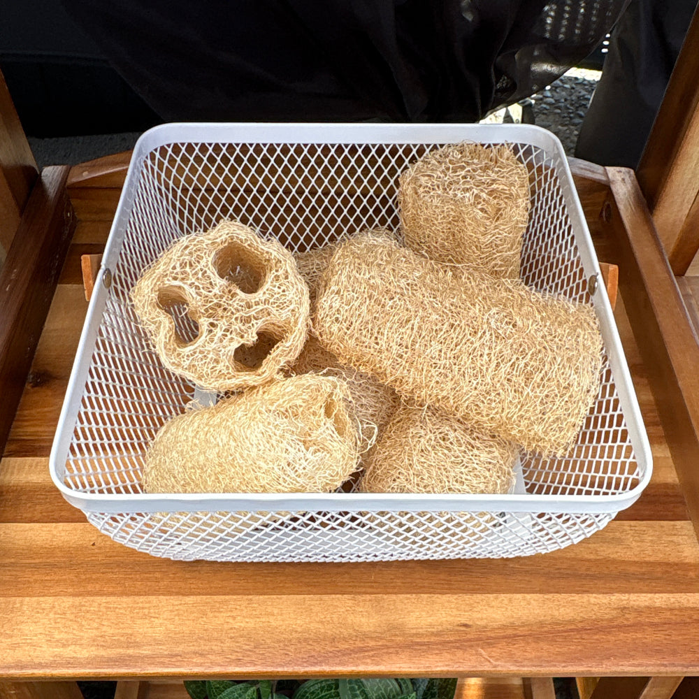 Natural Luffah Sponge